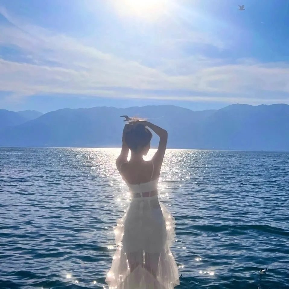 越战勋章 海报